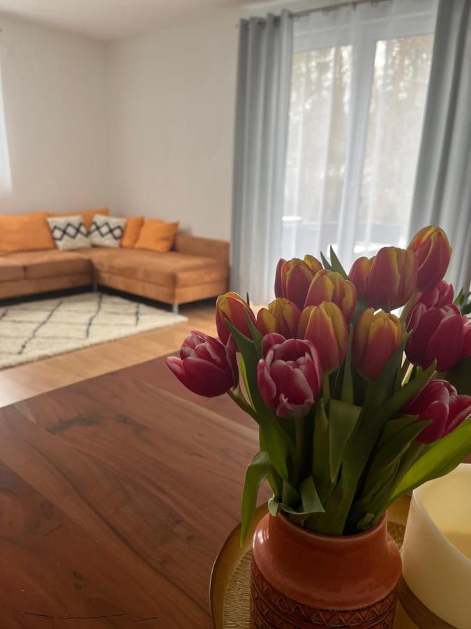 Ferienwohnung Natur Balingen Εξωτερικό φωτογραφία